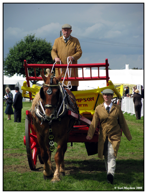 Suffolk Punch in the agricultural class (wasn't sure on the name, sorry!)