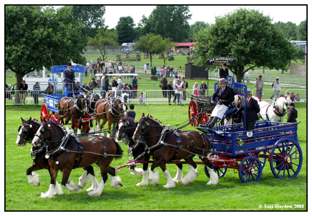 Waldburg Shires