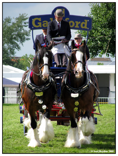Waldburg Shires