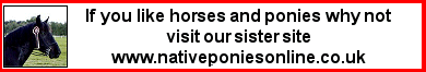 native ponies online