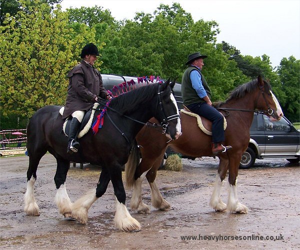 Staffordshire Shire Horse Association - Shire Horses Bridgebank Annabelle and Old Cot Sprightly Samson